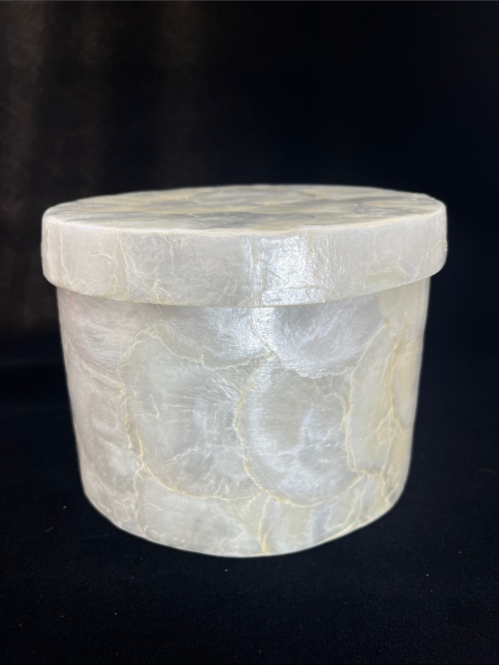 Target Powder Room Capiz Shell Round Storage Box with Lid Ivory Coastal Decor